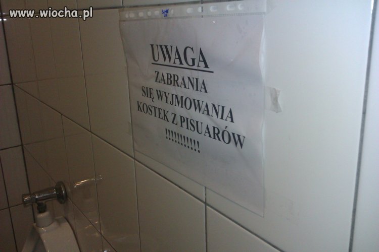 Tylko kto jest na tyle głupi ...