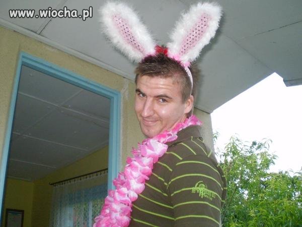 Króliczek playboya