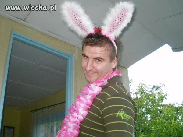Króliczek playboya