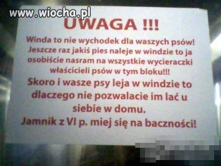 Nie ma to jak dogadywać się z sąsiadami 