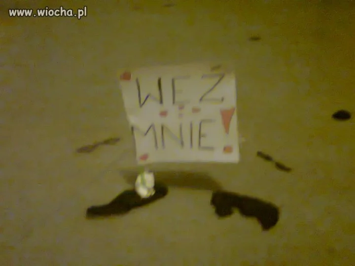 Nie wytrzymałam!