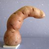 Wiejscy Plantatorzy Potrafią!!!