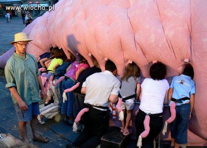 WTF???