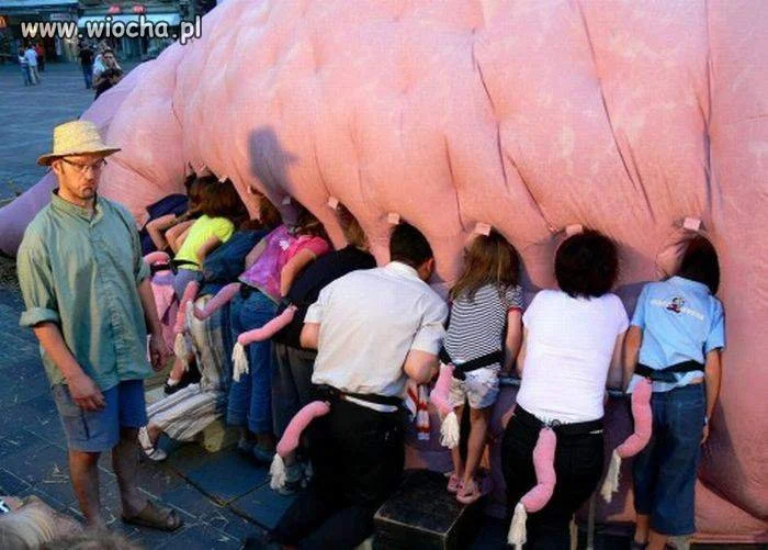 WTF???