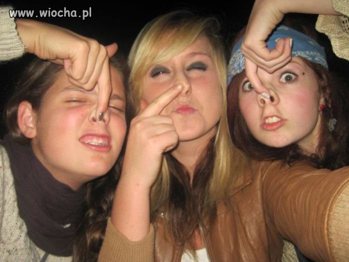 Słit pigs