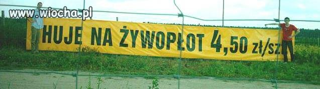Te ozdoby to na gwiazdkę