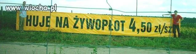 Te ozdoby to na gwiazdkę