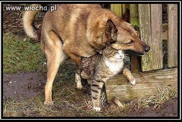 Jak przyjdzie ochota.