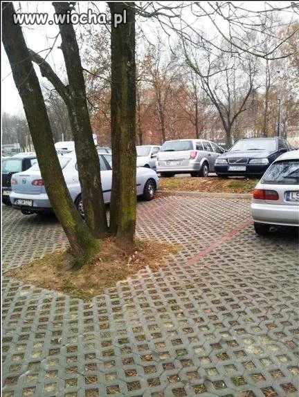 Kolejne z cyklu...