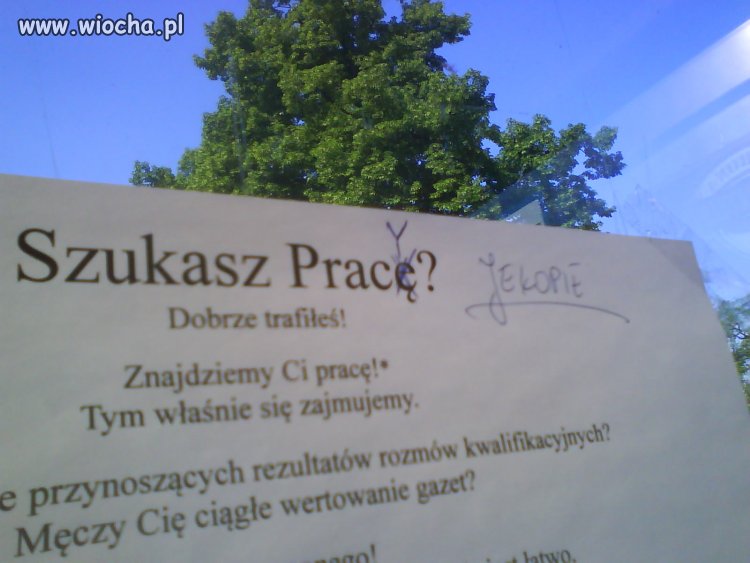 Polak zawsze pomoże.