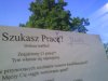 Polak zawsze pomoże.