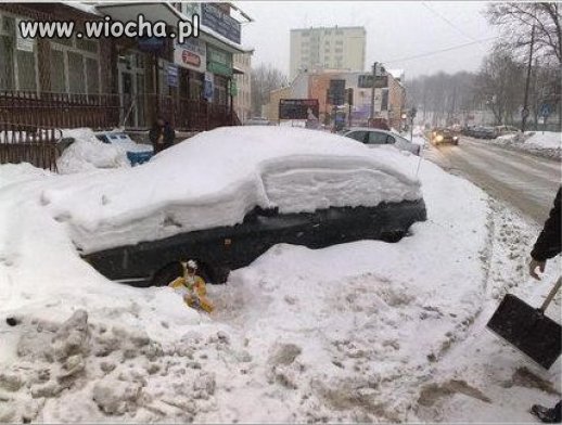Straży Miejskiej