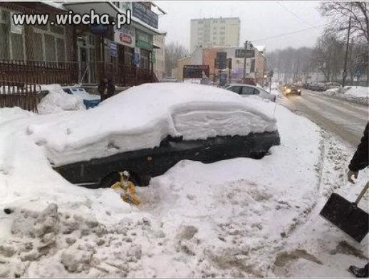Straży Miejskiej