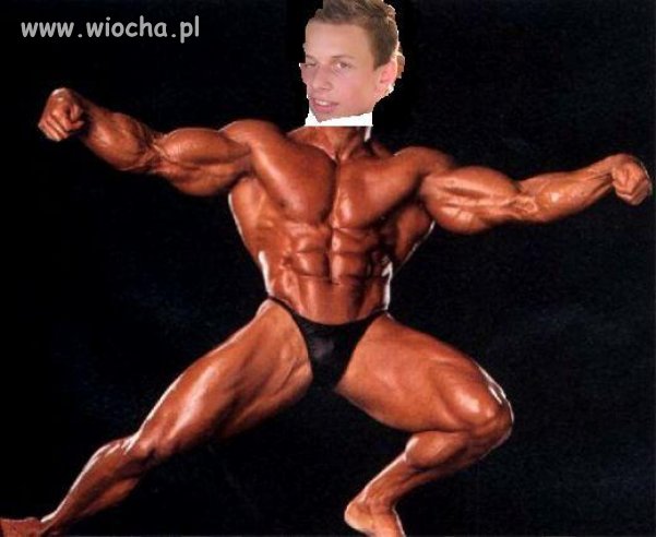 Zdjęcie z serii