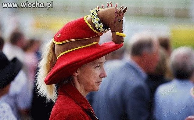 Taki kapelusz? 