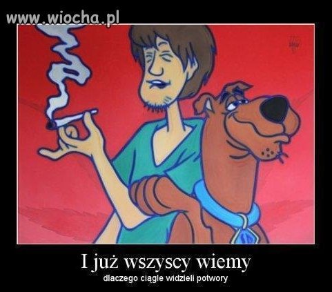 Zagadka rozwiązana 