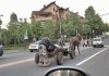 Ja i moja fura