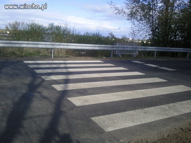 ...bo pasy najważniejsze 
