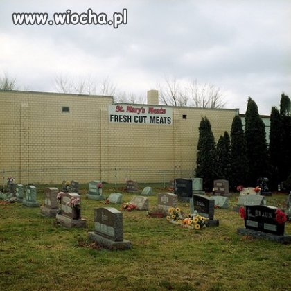 Świeże mięso