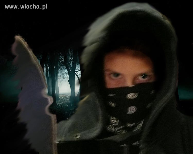 Gangsta 