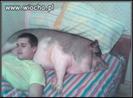 Zdrowotna poduszka