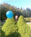 Motylem byłam?