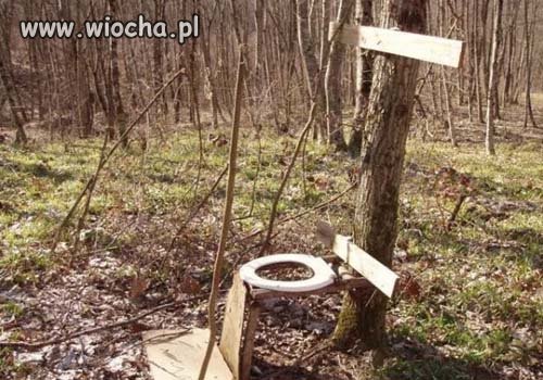 Trochę drewna i plastiku 