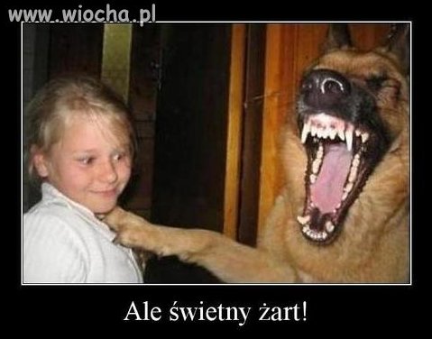 Ale Świetny żart.