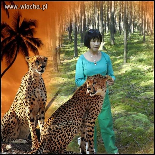Pani Wiesława z 50 na karku