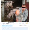 Ech te świnie