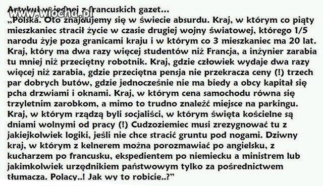 Prawdziwy absurd
