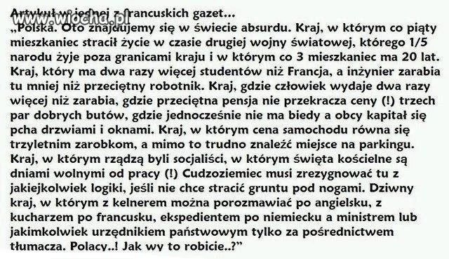 Prawdziwy absurd