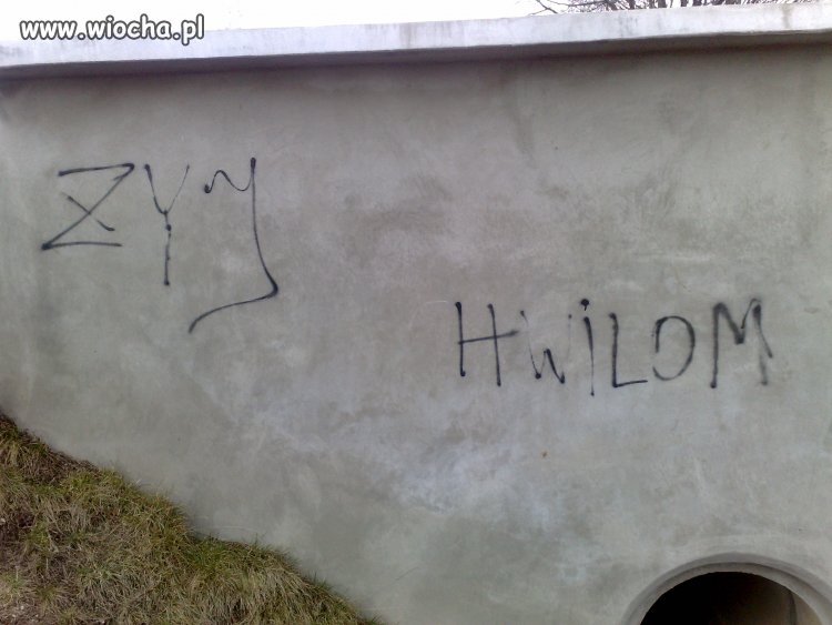 żyj hwilom