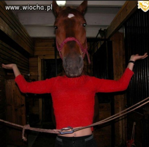 Centaur