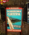 Grypa