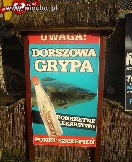 Grypa
