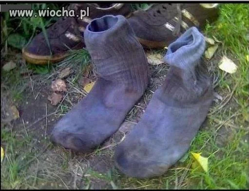 Stojące skarpety