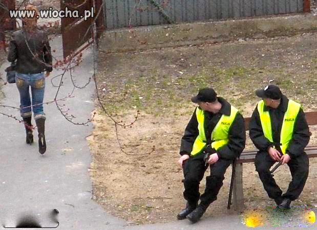 Nasza policja.