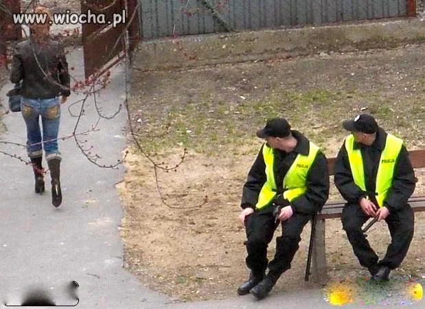 Nasza policja.