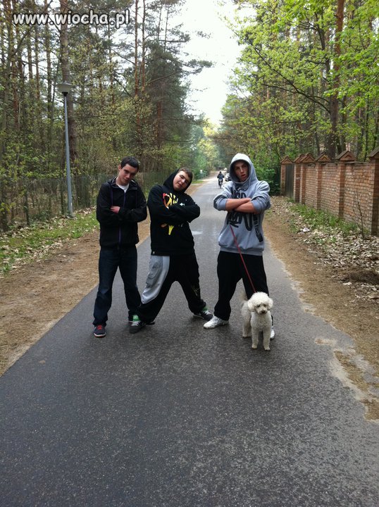 Wiocha na Gangsta