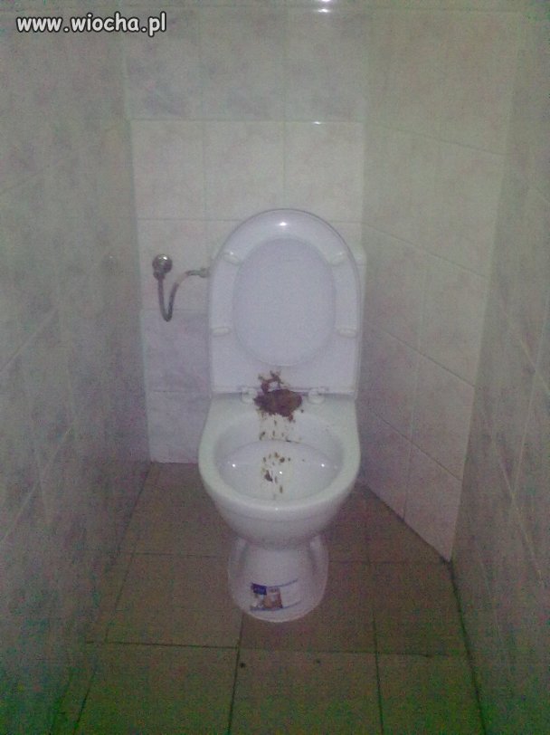 Toaleta szkolna, przeprasza tych...