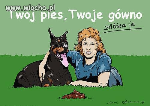Twój pies twoje gówno