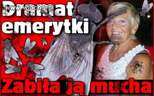 Fakt
