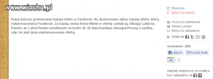 Oferta pracy