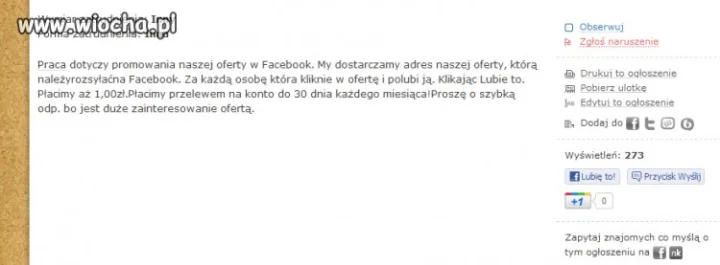 Oferta pracy