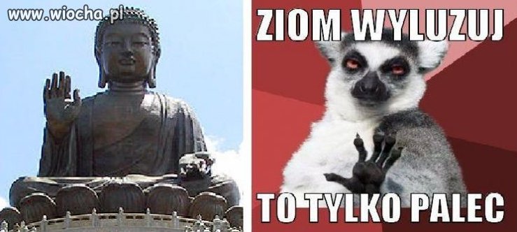 Budda naśladowca to lemur jest bogiem