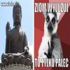 Budda naśladowca to lemur jest bogiem