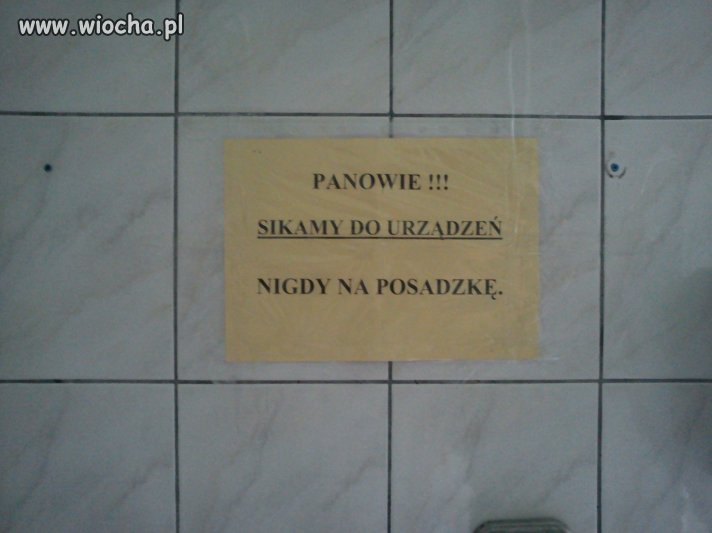 Ciekawe mają obyczaje.
