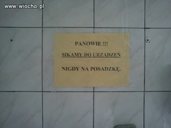 Ciekawe mają obyczaje.