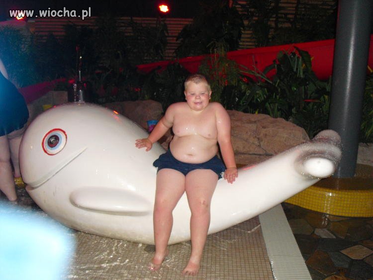 Dziecko sumo  